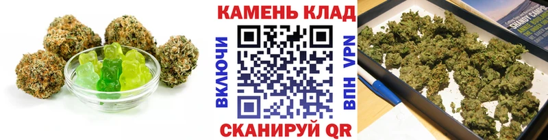 Cannafood конопля  как найти закладки  Бологое 