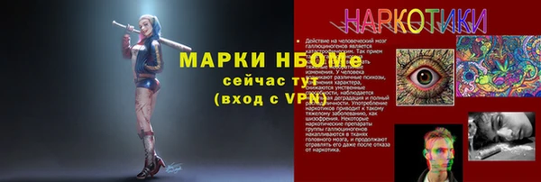 стаф Богородск