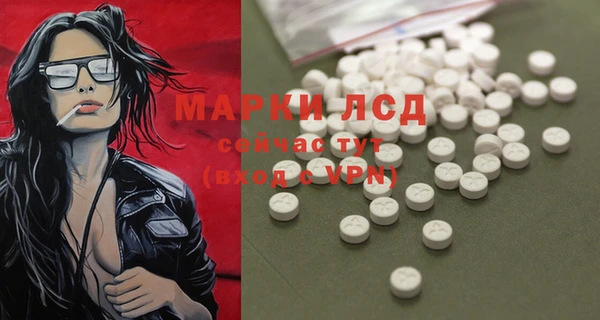 дмт Богородицк